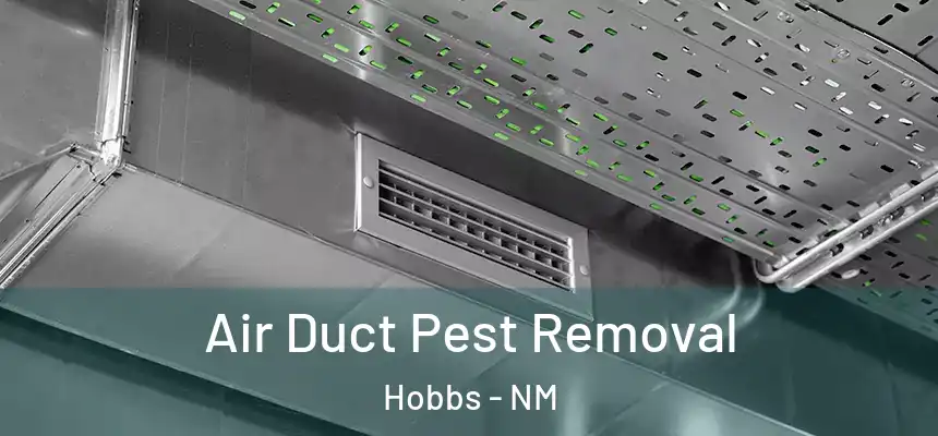 Air Duct Pest Removal Hobbs - NM
