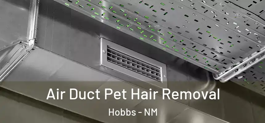 Air Duct Pet Hair Removal Hobbs - NM