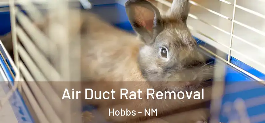  Air Duct Rat Removal Hobbs - NM