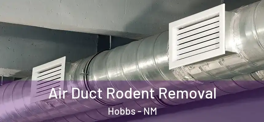 Air Duct Rodent Removal Hobbs - NM