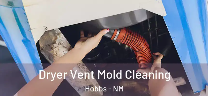 Dryer Vent Mold Cleaning Hobbs - NM