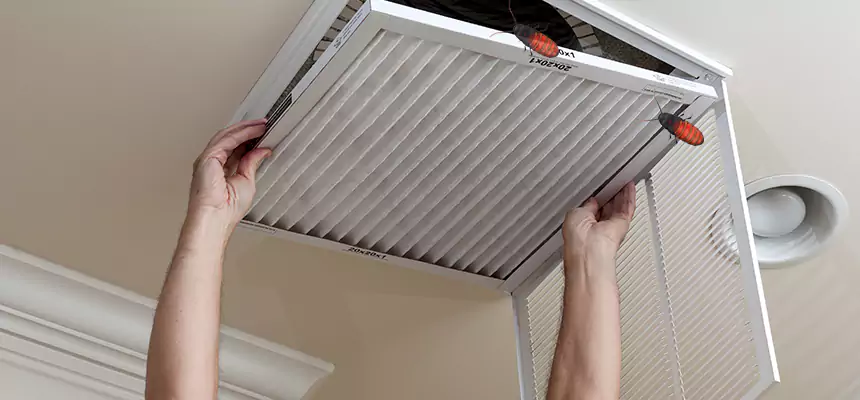 Preventive Cockroach-Proofing for Ducts in Hobbs
