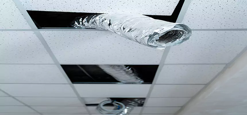 Our Air Duct Pet Hair Removal Services in Hobbs, NM