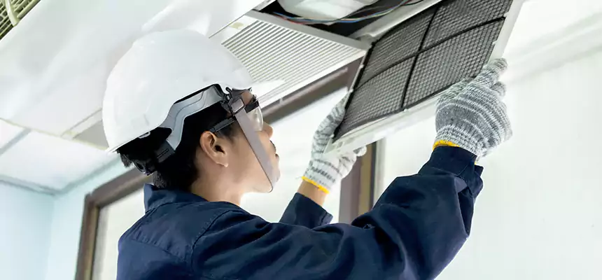 Our Mold & Mildew Removal from Air Ducts Services in Hobbs, NM