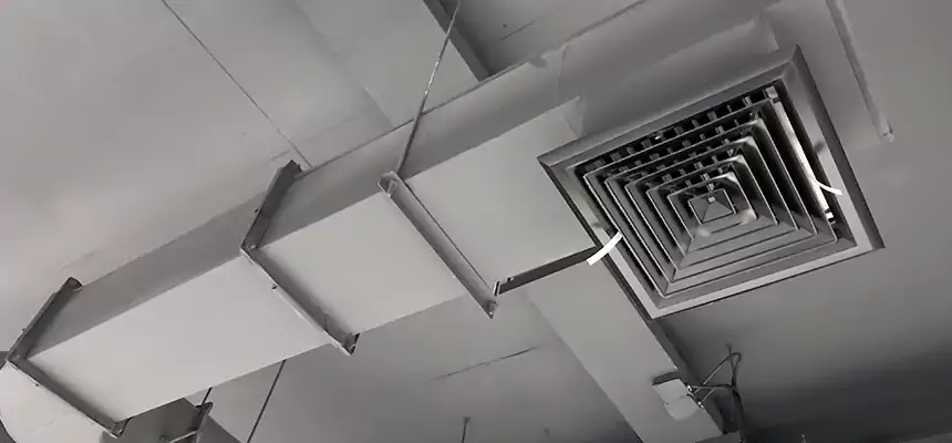 Our Pest Removal From Ducts Services in Hobbs, NM