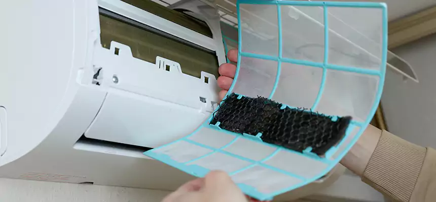 Gentle Ductwork Odor-Control Pet Dander Duct Cleaning in Hobbs, NM