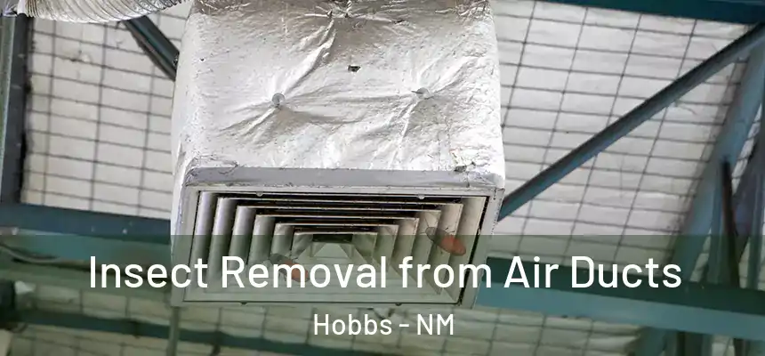  Insect Removal from Air Ducts Hobbs - NM