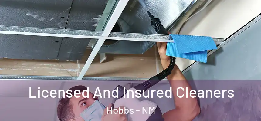 Licensed And Insured Cleaners Hobbs - NM