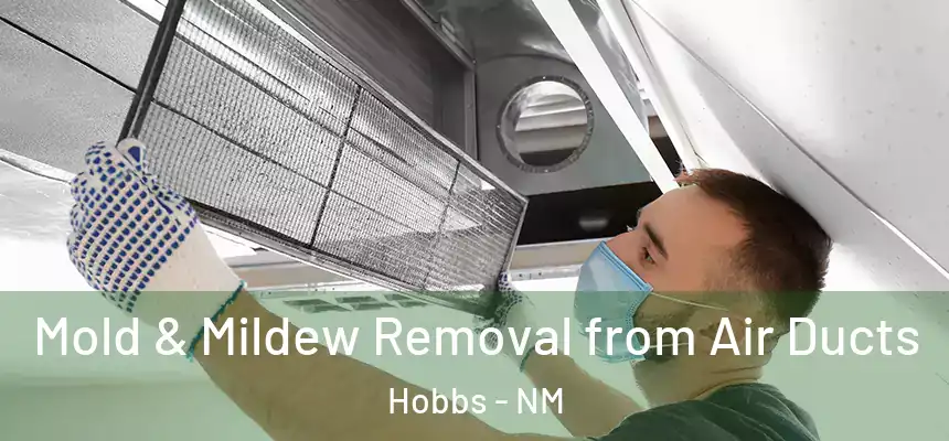 Mold & Mildew Removal from Air Ducts Hobbs - NM