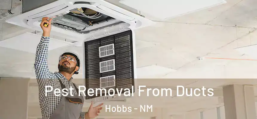  Pest Removal From Ducts Hobbs - NM