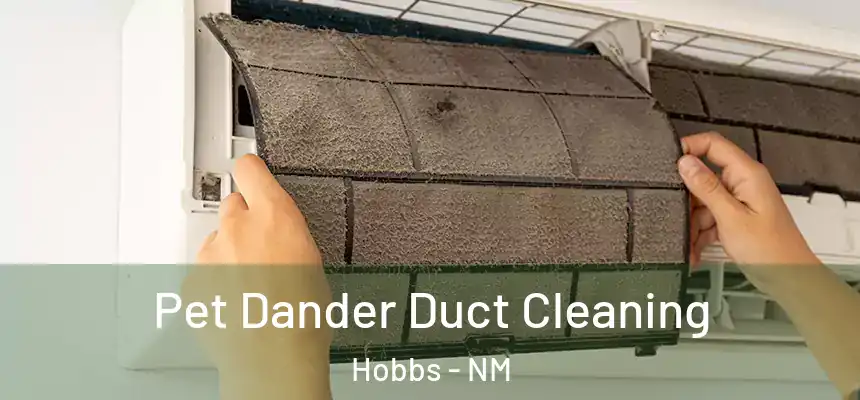Pet Dander Duct Cleaning Hobbs - NM