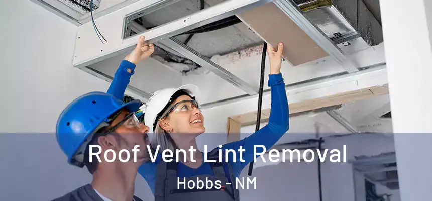  Roof Vent Lint Removal Hobbs - NM