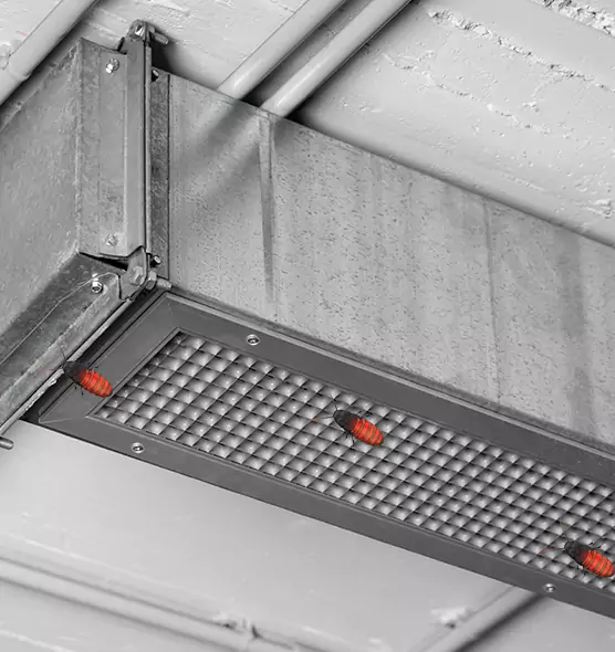 About Air Duct Cockroach Removal in Hobbs, NM