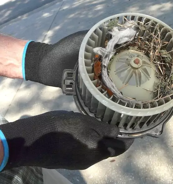 About Air Duct Mice Removal in Hobbs, NM