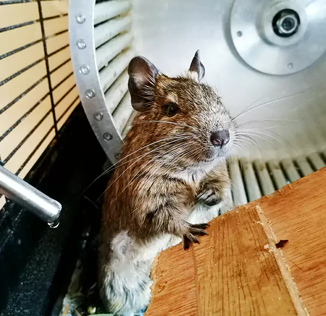 Why Homeowners & Businesses Trust Us Hobbs, NM?